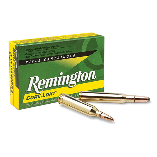 REM CORE LOKT 45-70 405GR PSP 20/10 - Ammunition